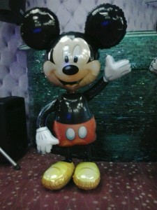 Mickey folie