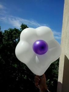 flori din baloane